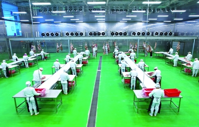 瑞金市聚道食品肉牛產(chǎn)業(yè)數(shù)智工廠生產(chǎn)忙